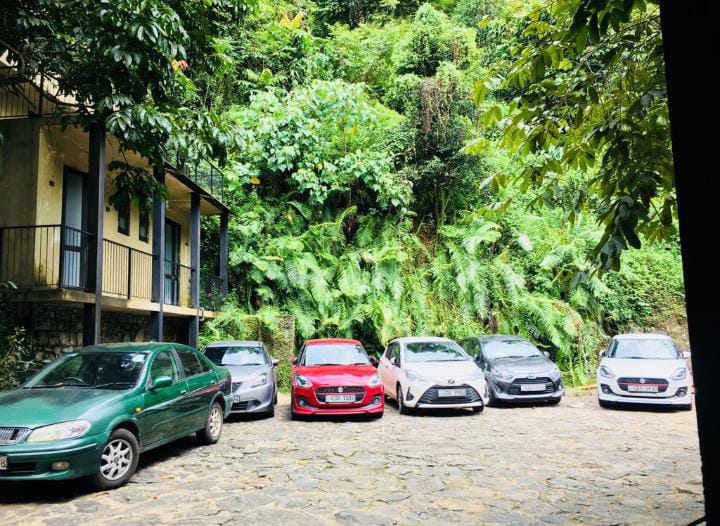 Access road to Forest Shade